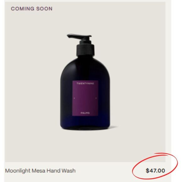 NIB - Twentynine Palms Moonlight Mesa Hand Wash (16.9 fl.oz, 500 mL) - Picture 2 of 11